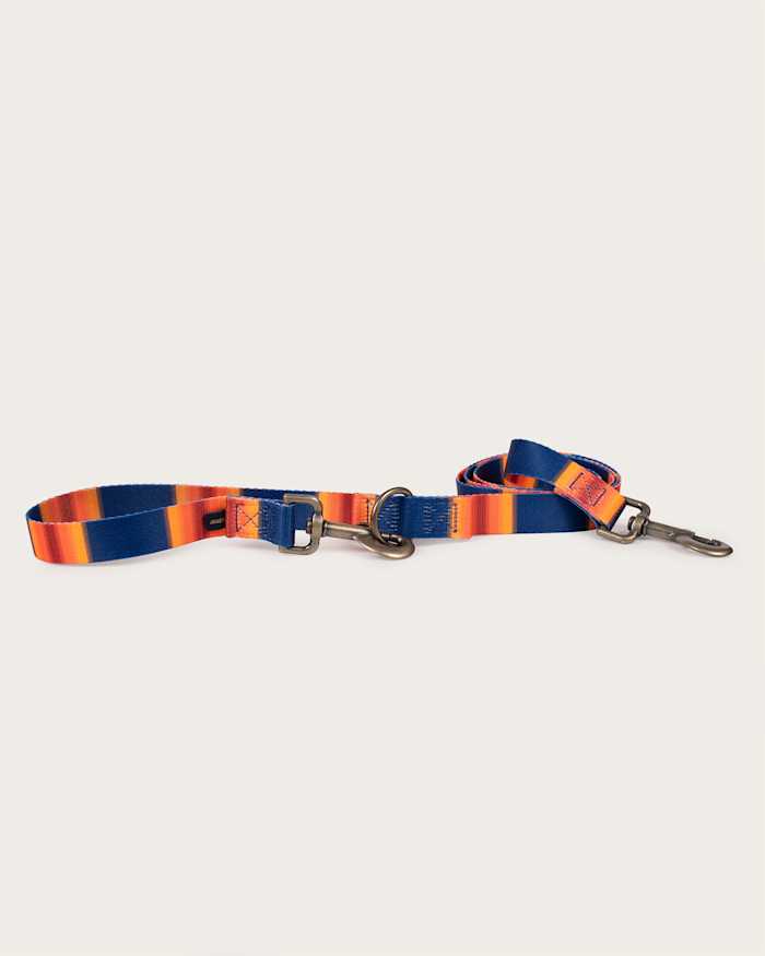 GRAND CANYON NATIONAL PARK ADVENTURE LEASH